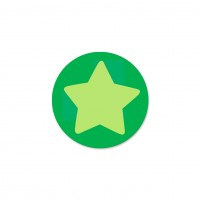 SALE Motivperle Sternchen-Scheibe horizontal hellgrün/limette SALE Motivperle Sternchen-Scheibe horizontal hellgrün/limette